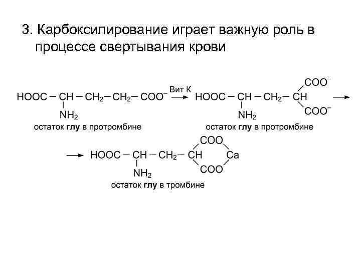 3. Карбоксилирование играет важную роль в процессе свертывания крови 