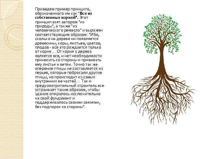 Приведем пример принципа, обозначенного им как "Все из собственных корней". Этот принцип взят автором