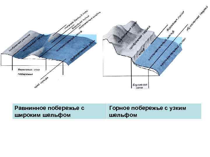Равнинное побережье с широким шельфом Горное побережье с узким шельфом 