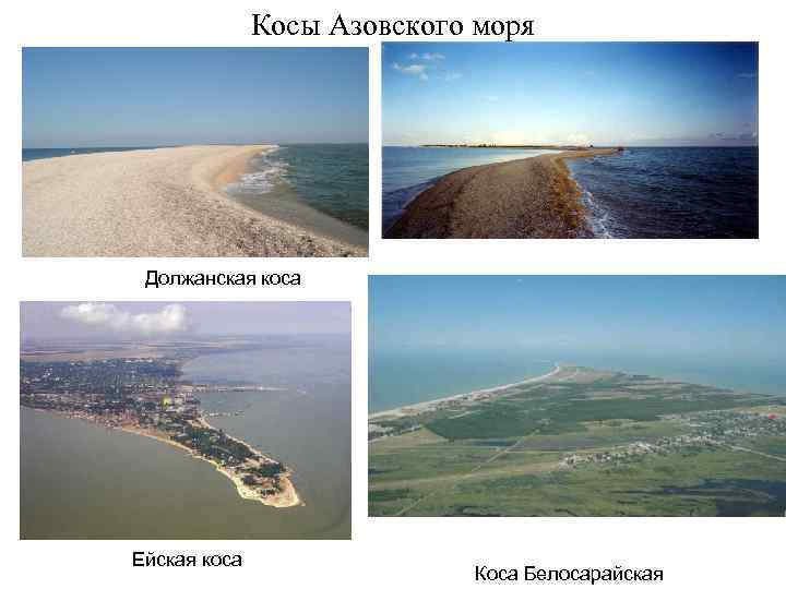Косы Азовского моря Должанская коса Ейская коса Коса Белосарайская 