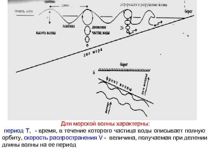 Для морской волны характерны: период Т, - время, в течение которого частица воды описывает