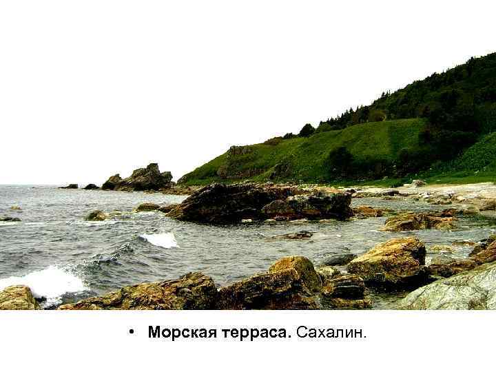  • Морская терраса. Сахалин. 