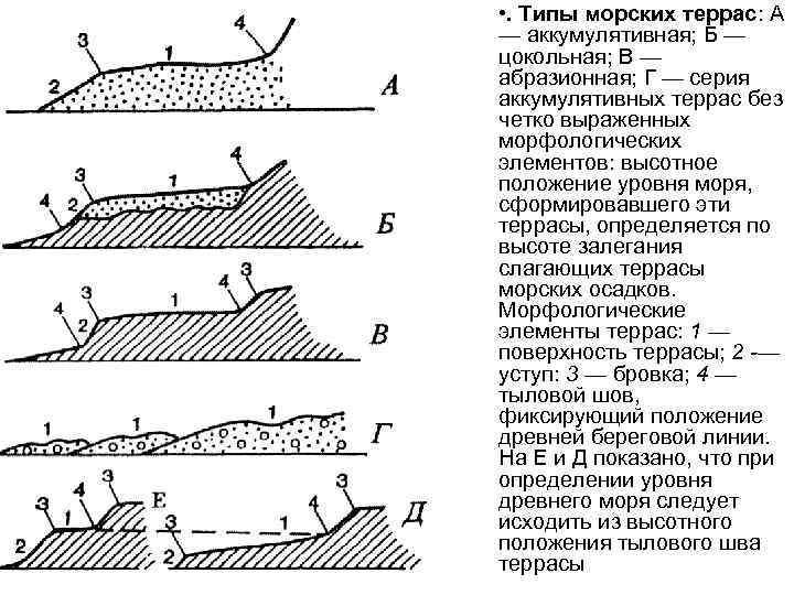 Карта морские террасы