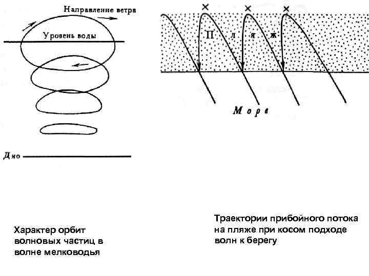 Характер орбит волновых частиц в волне мелководья Траектории прибойного потока на пляже при косом