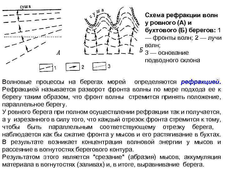 Схема рефракции волн у ровного (А) и бухтового (Б) берегов: 1 — фронты волн;