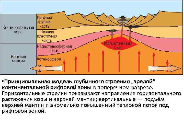  • Принципиальная модель глубинного строения „зрелой“ континентальной рифтовой зоны в поперечном разрезе. Горизонтальные