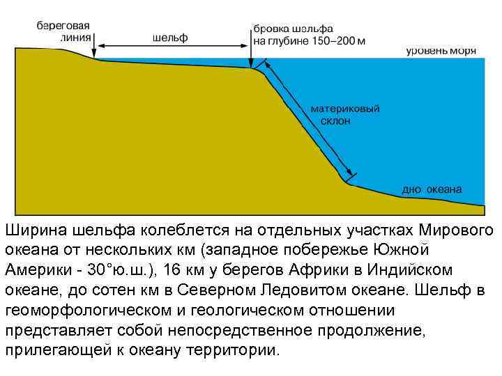 Ширина шельфа колеблется на отдельных участках Мирового океана от нескольких км (западное побережье Южной