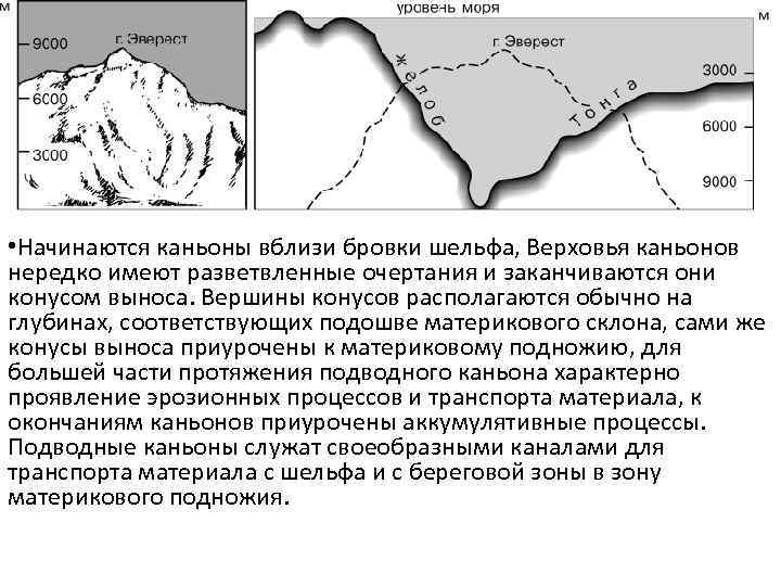  • Начинаются каньоны вблизи бровки шельфа, Верховья каньонов нередко имеют разветвленные очертания и