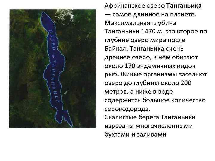Глубина озер африки. Озеро Танганьика географическое положение. Танганьика глубина. Озеро Танганьика природная зона. Соленость озера Танганьика.