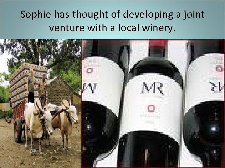 Sophie has thought of developing a joint venture with a local winery. 