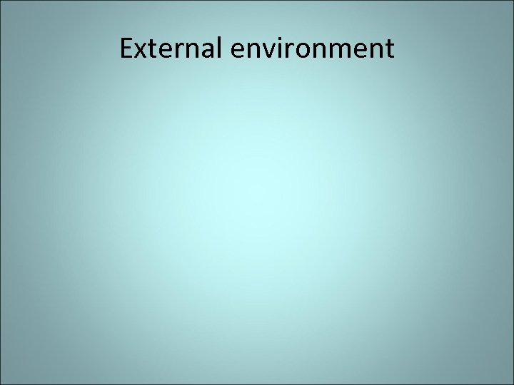 External environment 