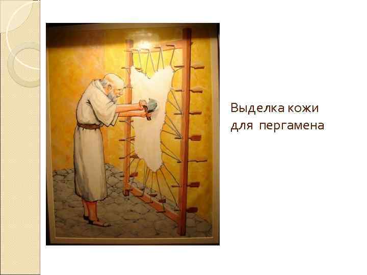 Выделка кожи для пергамена 