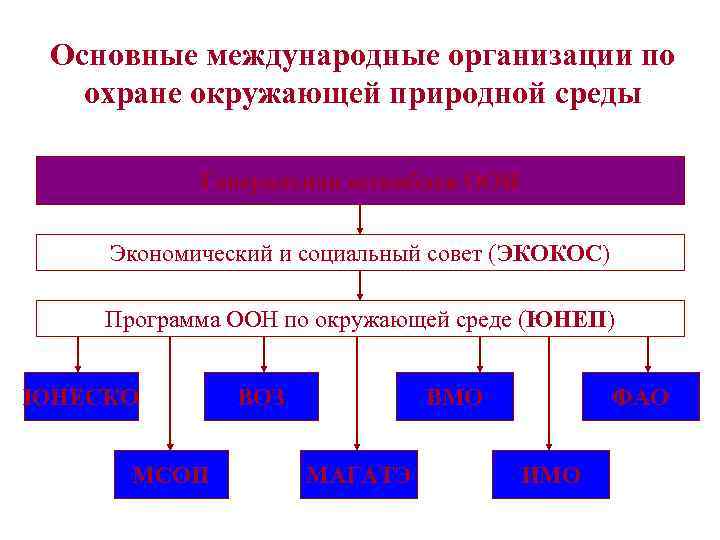 Основные международные организации по охране окружающей природной среды Генеральная ассамблея ООН Экономический и социальный