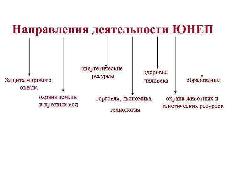 Направления деятельности ЮНЕП Защита мирового океана охрана земель и пресных вод энергетические ресурсы здоровье