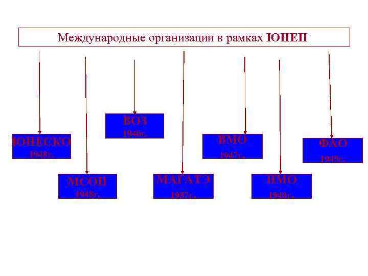 Международные организации в рамках ЮНЕП ВОЗ 1946 г. ЮНЕСКО ВМО 1947 г. 1948 г.