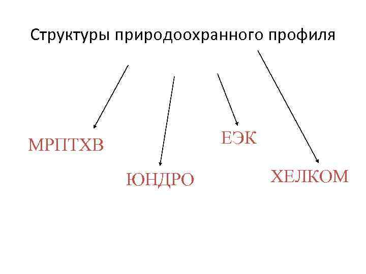 Структуры природоохранного профиля ЕЭК МРПТХВ ЮНДРО ХЕЛКОМ 