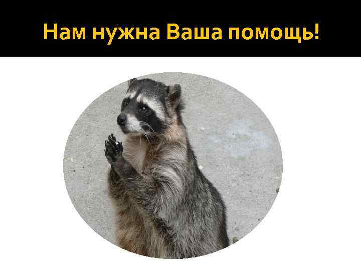Нам нужна Ваша помощь! 