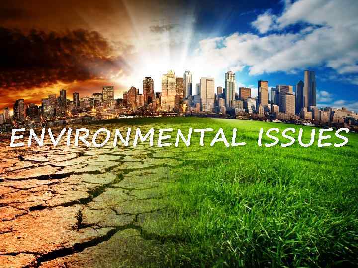 ENVIRONMENTAL ISSUES 