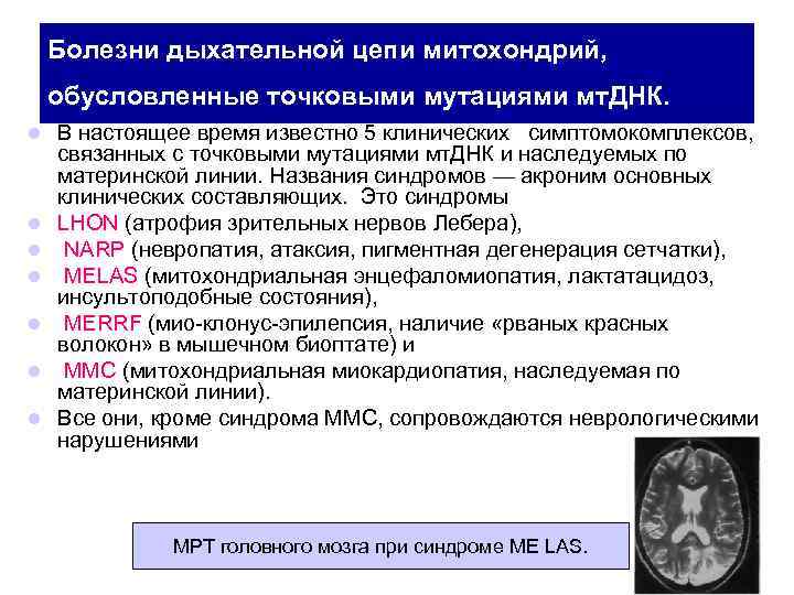 Болезни дыхательной цепи митохондрий, обусловленные точковыми мутациями мт. ДНК. l l l l В