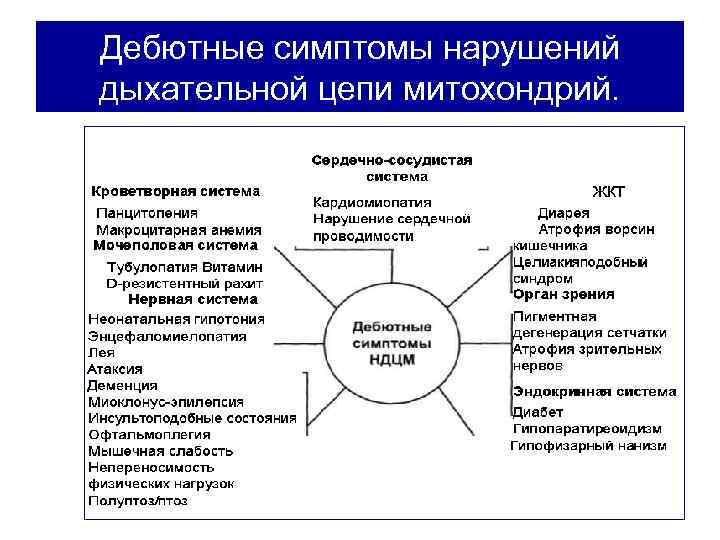 Дебютные симптомы нарушений дыхательной цепи митохондрий. 