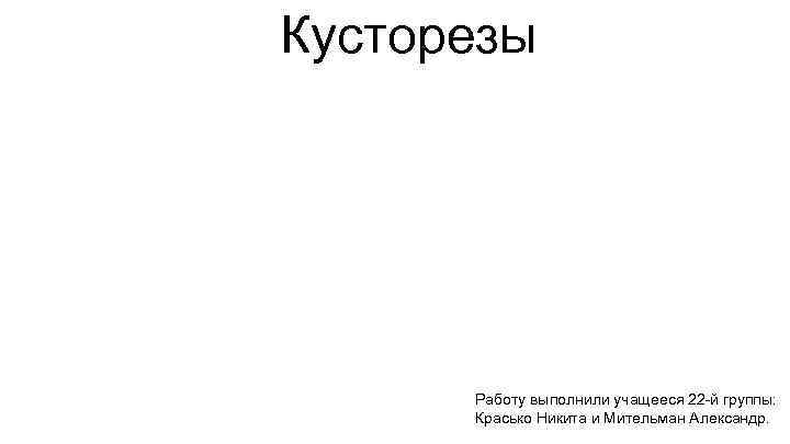 Кусторезы Работу выполнили учащееся 22 -й группы: Красько Никита и Мительман Александр. 