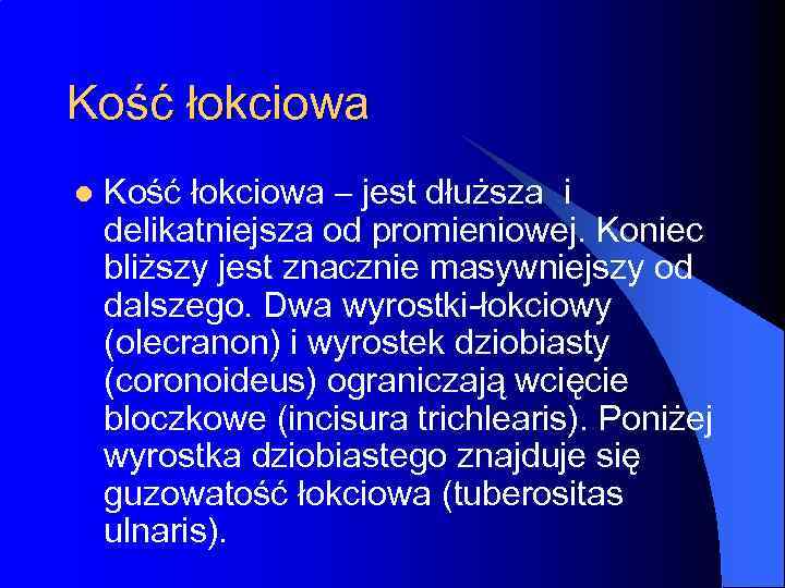 Kość łokciowa l Kość łokciowa – jest dłuższa i delikatniejsza od promieniowej. Koniec bliższy
