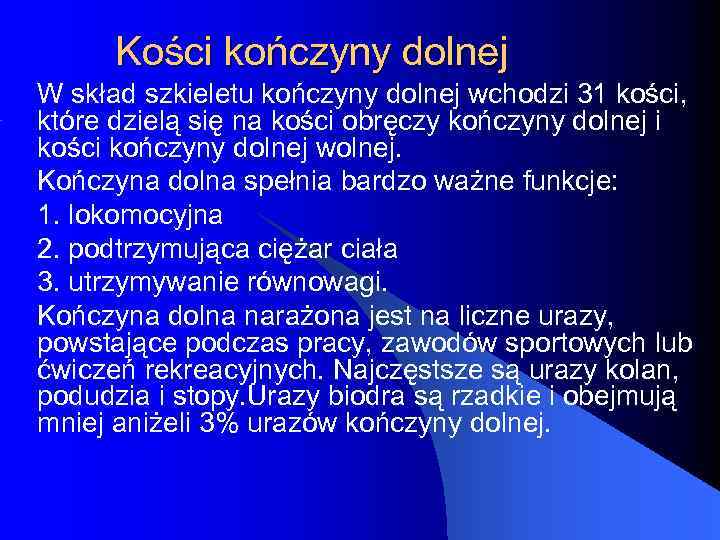 Kości kończyny dolnej W skład szkieletu kończyny dolnej wchodzi 31 kości, które dzielą się