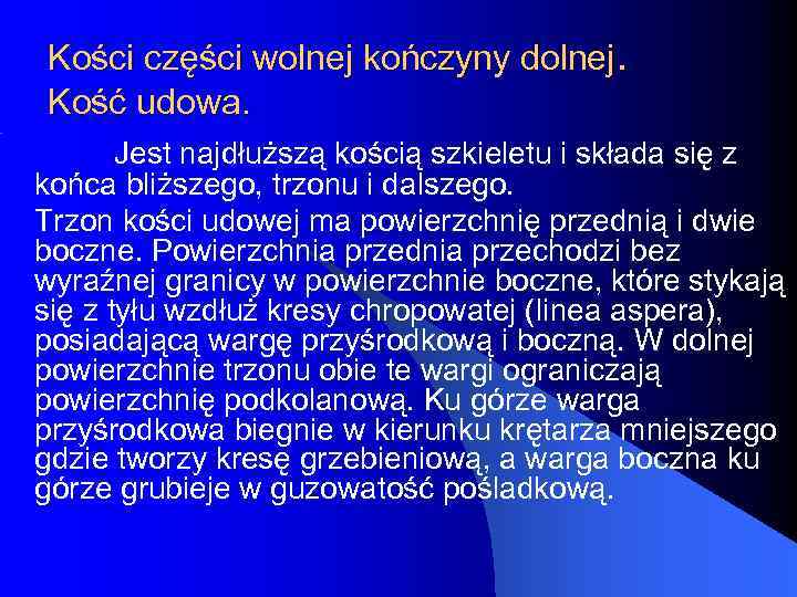Kości części wolnej kończyny dolnej. Kość udowa. Jest najdłuższą kością szkieletu i składa się