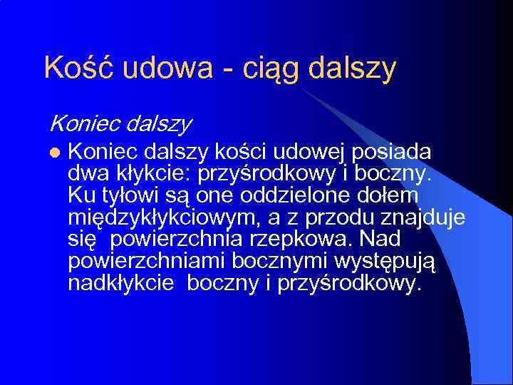 Kość udowa - ciąg dalszy Koniec dalszy l Koniec dalszy kości udowej posiada dwa