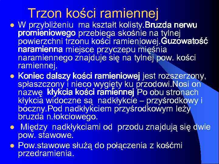 Trzon kości ramiennej l l W przybliżeniu ma kształt kolisty. Bruzda nerwu promieniowego przebiega