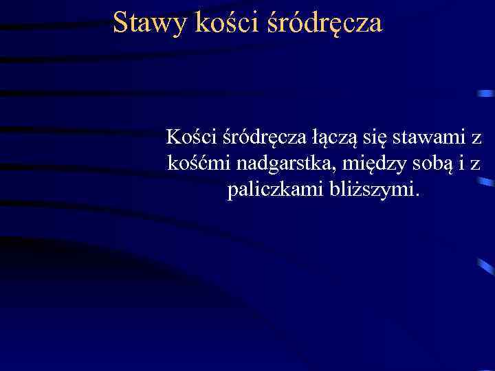 Stawy kości śródręcza Kości śródręcza łączą się stawami z kośćmi nadgarstka, między sobą i