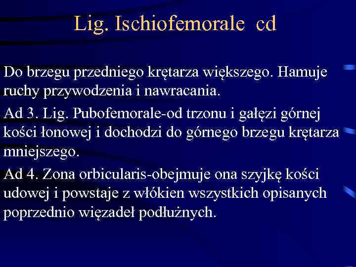 Lig. Ischiofemorale cd Do brzegu przedniego krętarza większego. Hamuje ruchy przywodzenia i nawracania. Ad