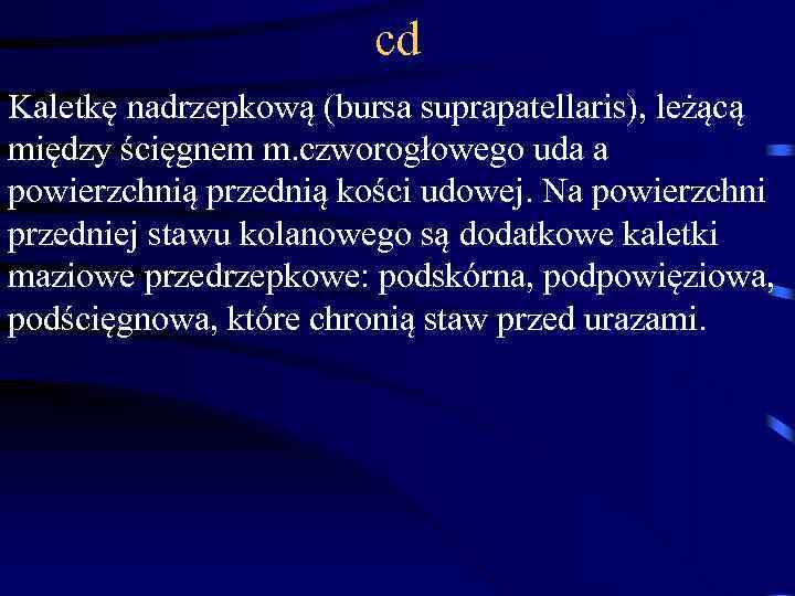 cd Kaletkę nadrzepkową (bursa suprapatellaris), leżącą między ścięgnem m. czworogłowego uda a powierzchnią przednią