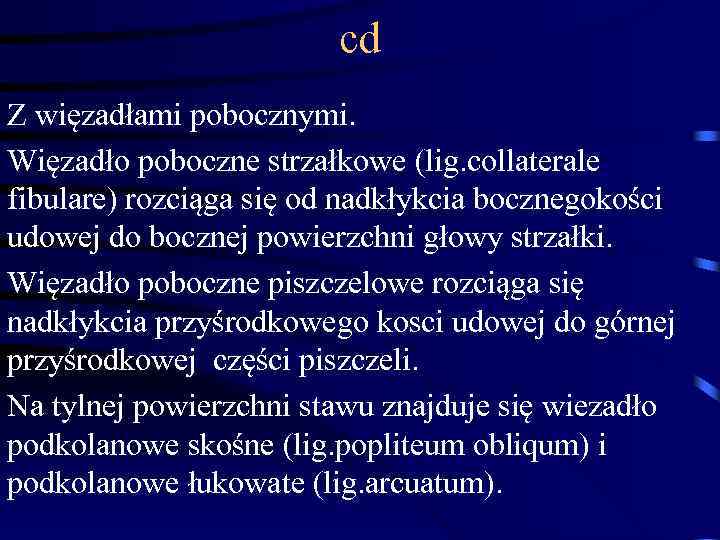 cd Z więzadłami pobocznymi. Więzadło poboczne strzałkowe (lig. collaterale fibulare) rozciąga się od nadkłykcia