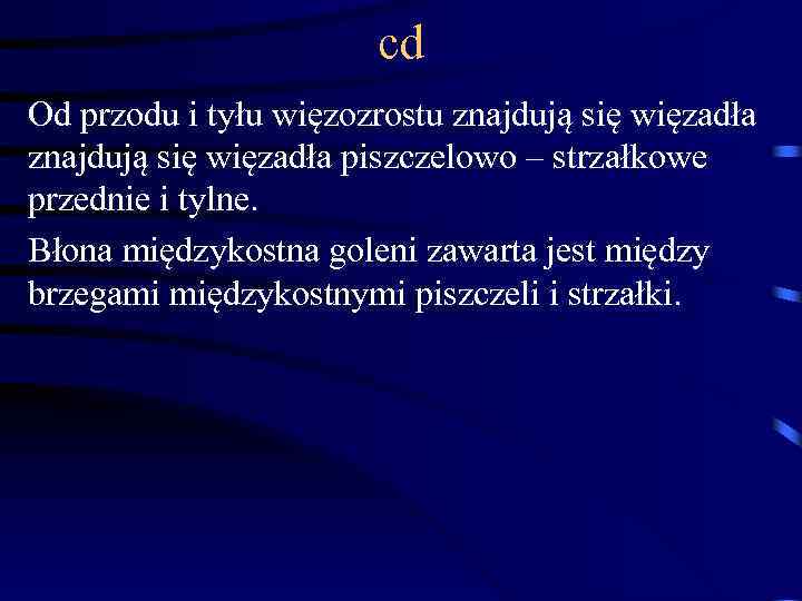 cd Od przodu i tyłu więzozrostu znajdują się więzadła piszczelowo – strzałkowe przednie i