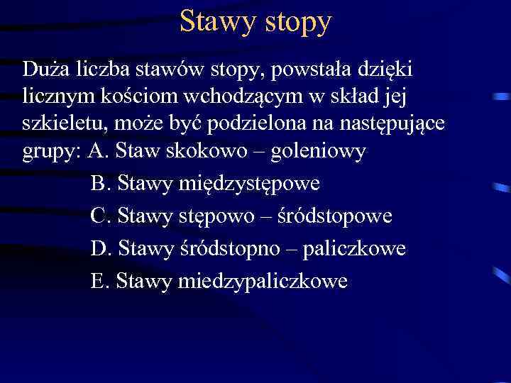 Stawy stopy Duża liczba stawów stopy, powstała dzięki licznym kościom wchodzącym w skład jej