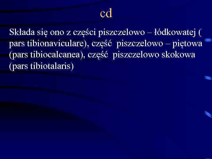 cd Składa się ono z części piszczelowo – łódkowatej ( pars tibionaviculare), część piszczelowo