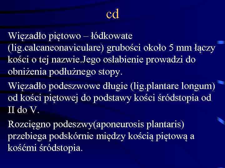 cd Więzadło piętowo – łódkowate (lig. calcaneonaviculare) grubości około 5 mm łączy kości o