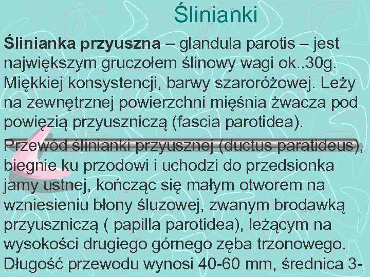 Ślinianki Ślinianka przyuszna – glandula parotis – jest największym gruczołem ślinowy wagi ok. .