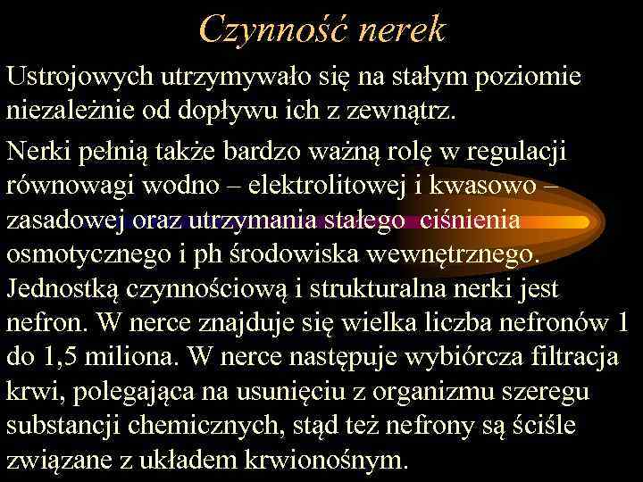 Czynność nerek Ustrojowych utrzymywało się na stałym poziomie niezależnie od dopływu ich z zewnątrz.