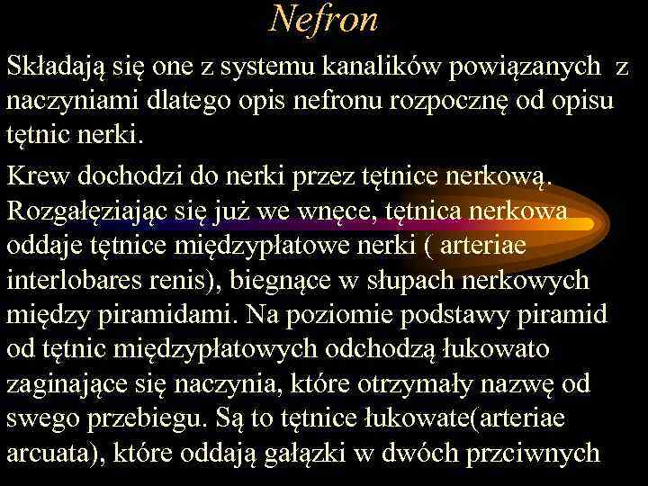 Nefron Składają się one z systemu kanalików powiązanych z naczyniami dlatego opis nefronu rozpocznę