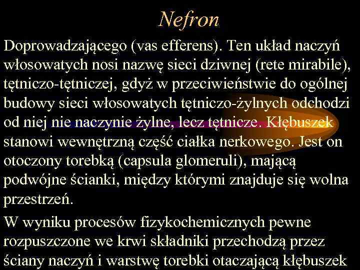 Nefron Doprowadzającego (vas efferens). Ten układ naczyń włosowatych nosi nazwę sieci dziwnej (rete mirabile),