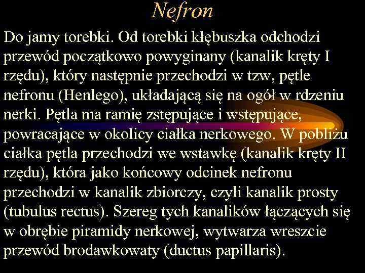 Nefron Do jamy torebki. Od torebki kłębuszka odchodzi przewód początkowo powyginany (kanalik kręty I