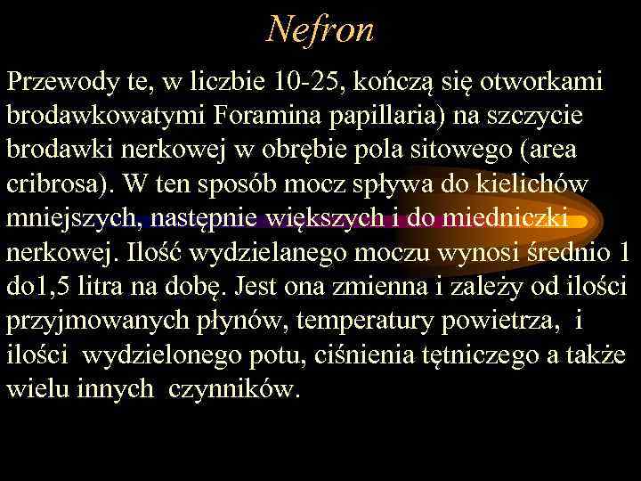 Nefron Przewody te, w liczbie 10 -25, kończą się otworkami brodawkowatymi Foramina papillaria) na