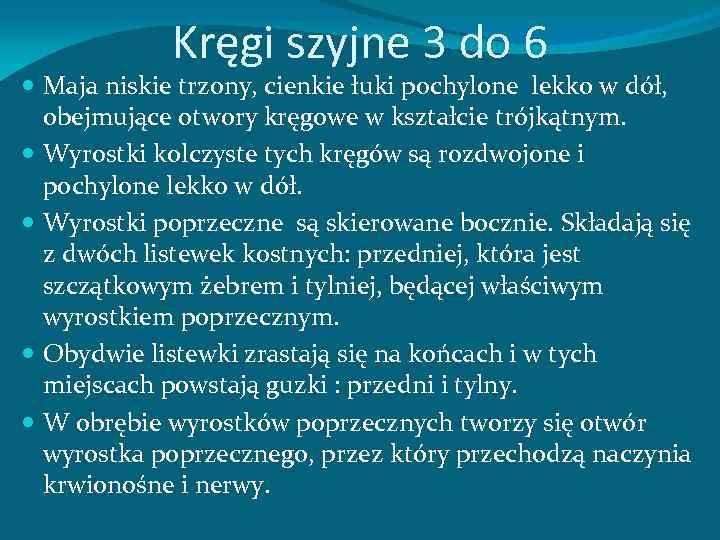 Kręgi szyjne 3 do 6 Maja niskie trzony, cienkie łuki pochylone lekko w dół,