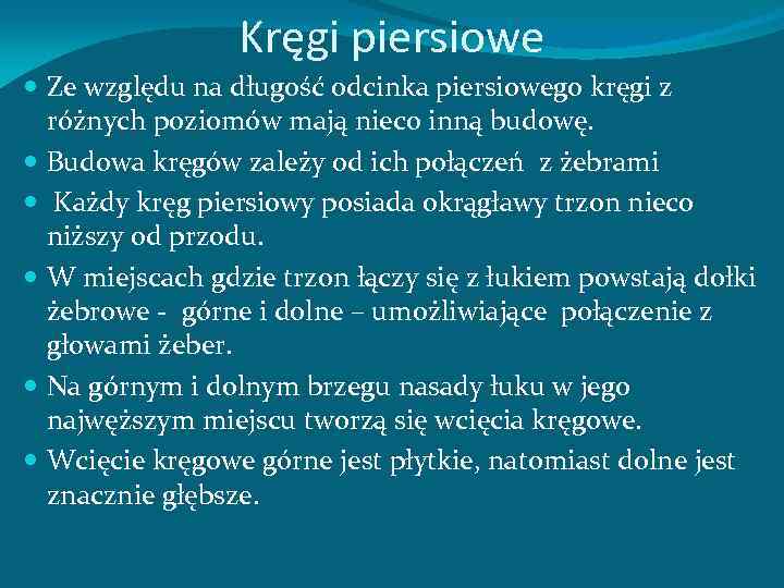 Kręgi piersiowe Ze względu na długość odcinka piersiowego kręgi z różnych poziomów mają nieco