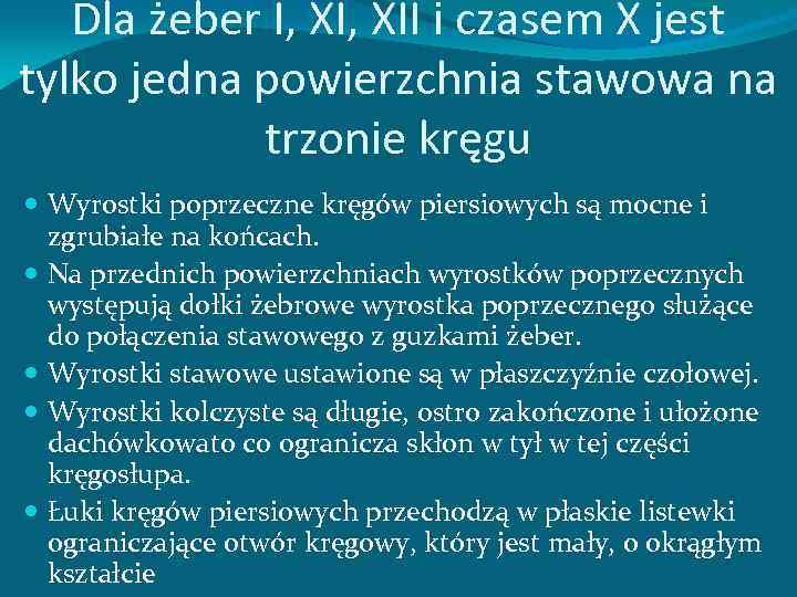 Dla żeber I, XII i czasem X jest tylko jedna powierzchnia stawowa na trzonie