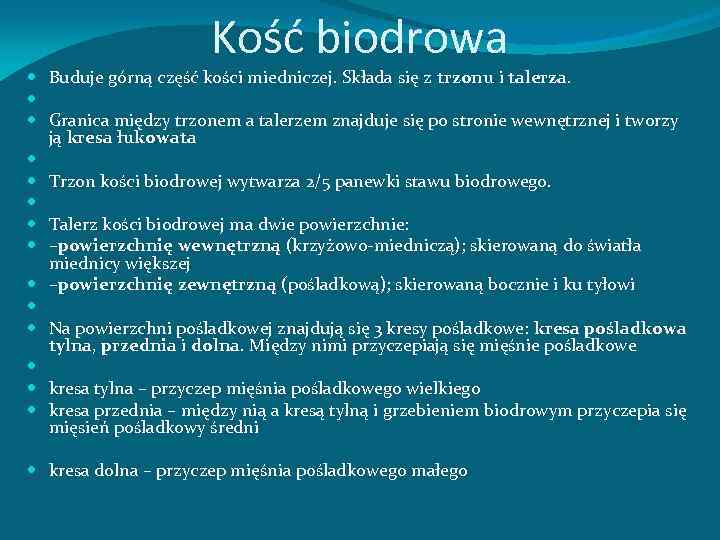Kość biodrowa Buduje górną część kości miedniczej. Składa się z trzonu i talerza. Granica