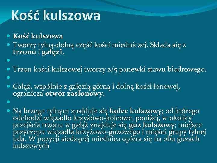 Kość kulszowa Tworzy tylną-dolną część kości miedniczej. Składa się z trzonu i gałęzi. Trzon