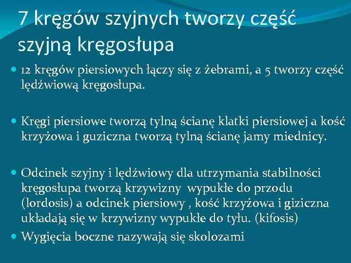 7 kręgów szyjnych tworzy część szyjną kręgosłupa 12 kręgów piersiowych łączy się z żebrami,